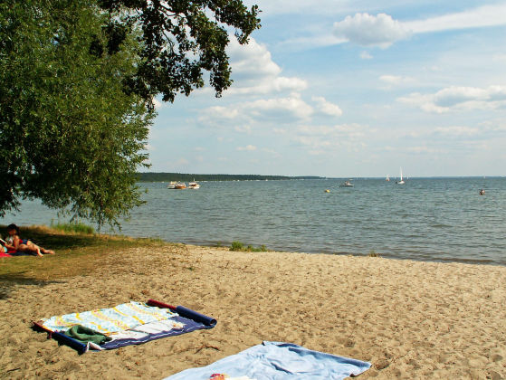 Strand an der Müritz in Klink Strand an der Müritz in Klink