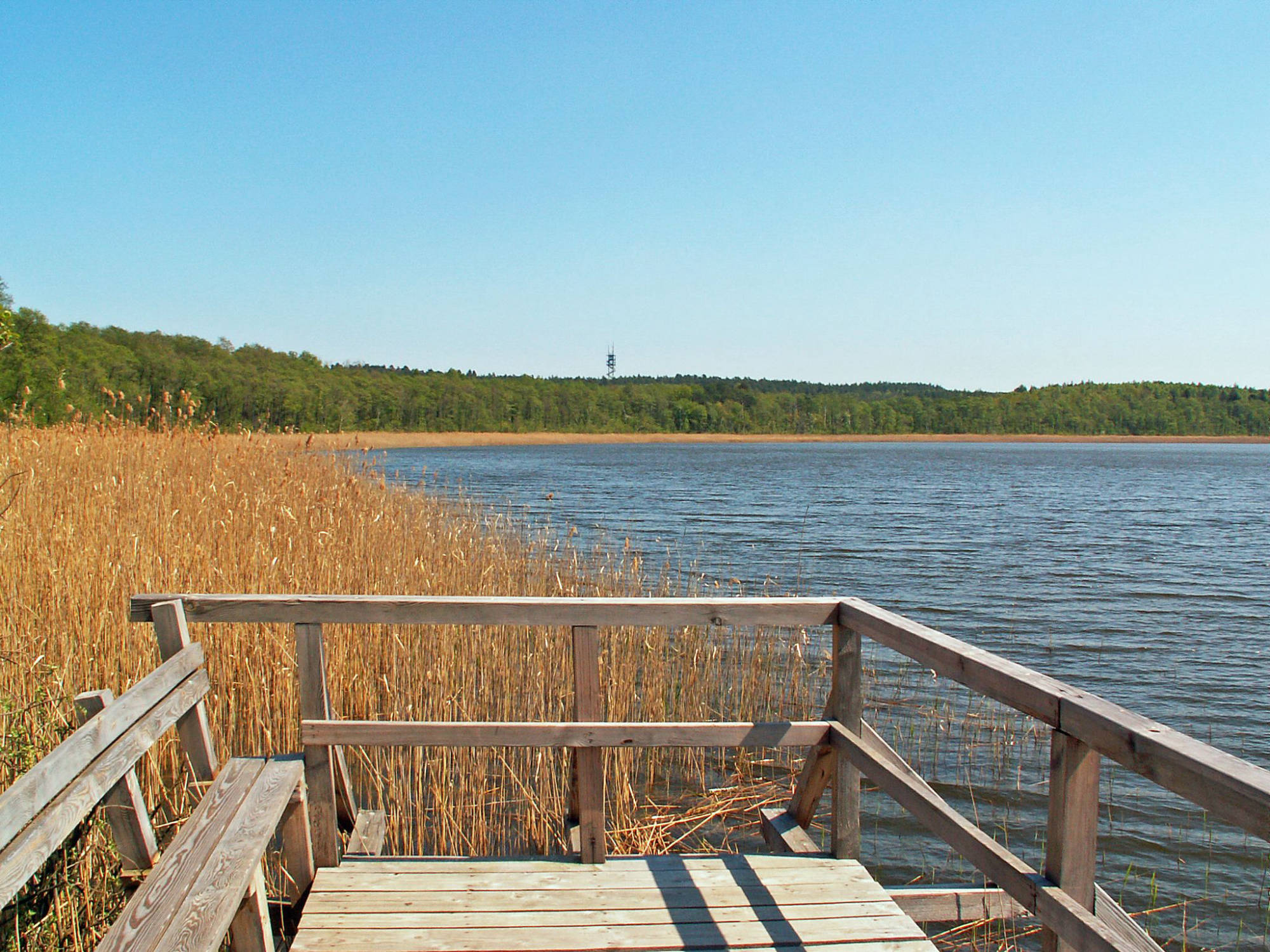Müritz-Nationalpark - Blick vom Priesterbaeker See zum Käflingsbergsturm