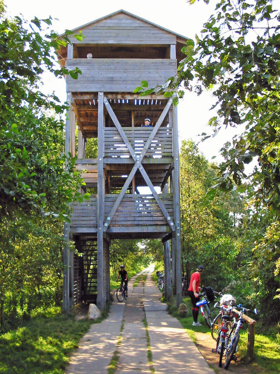 Aussichtsturm am Specker See im Müritz-Nationalpark