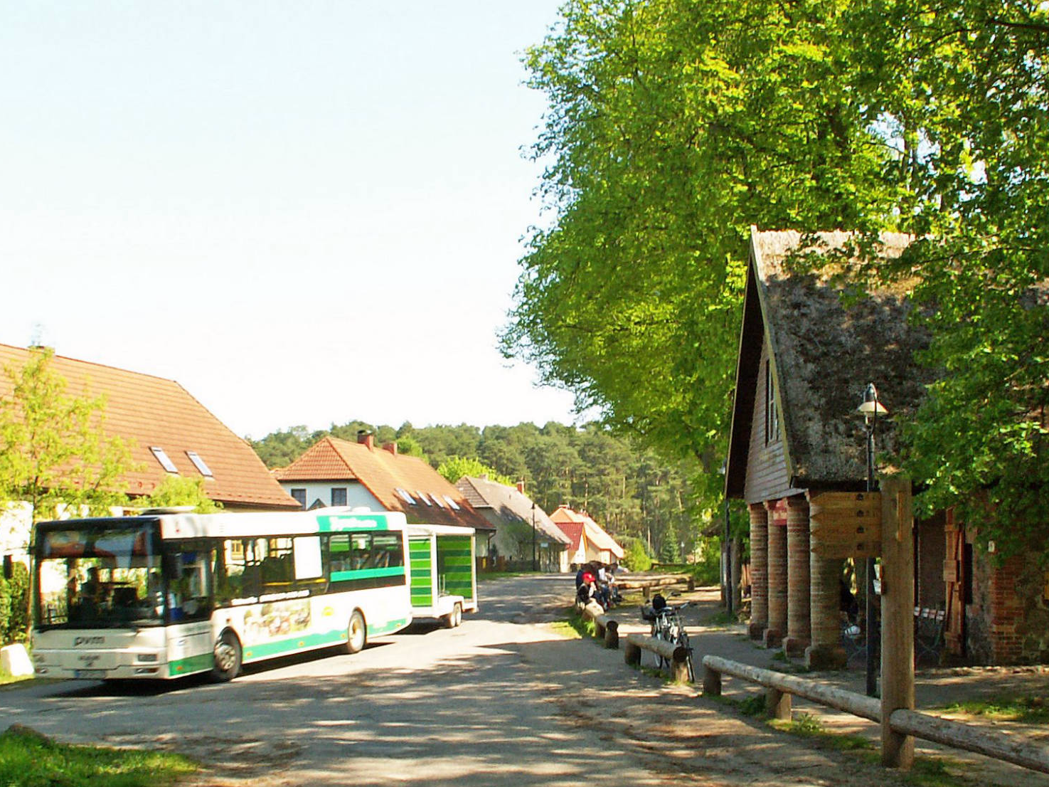 Mit dem Nationalparkticket in den Müritz-Nationalpark