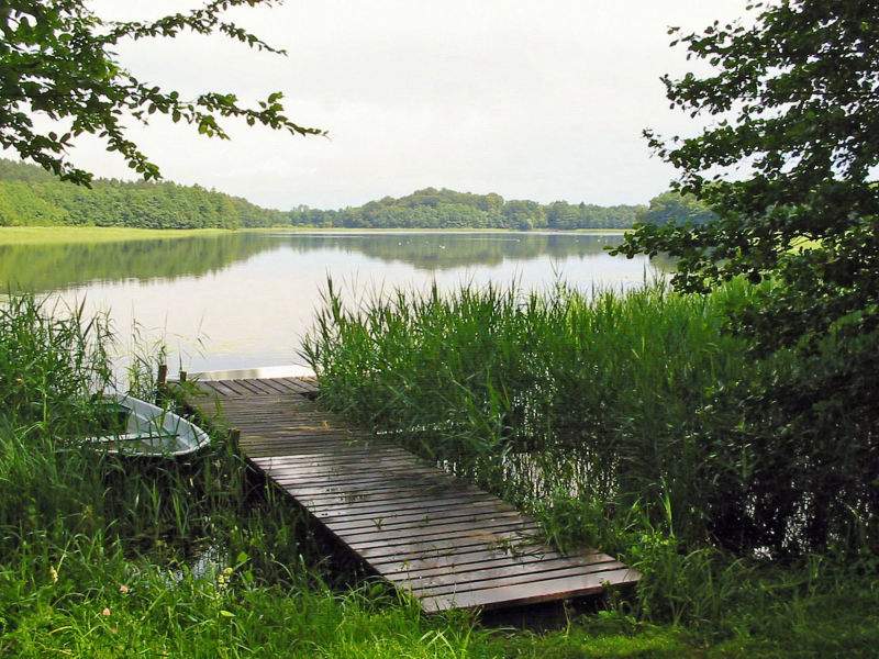 Am Dambecker See im Müritz-Nationalpark 