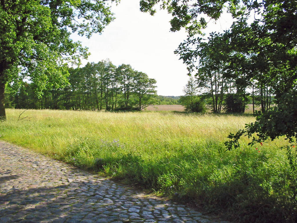 Nossentiner/Schwinzer Heide